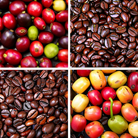 Coffee and Its Bean Varieties: What Sets Them Apart?