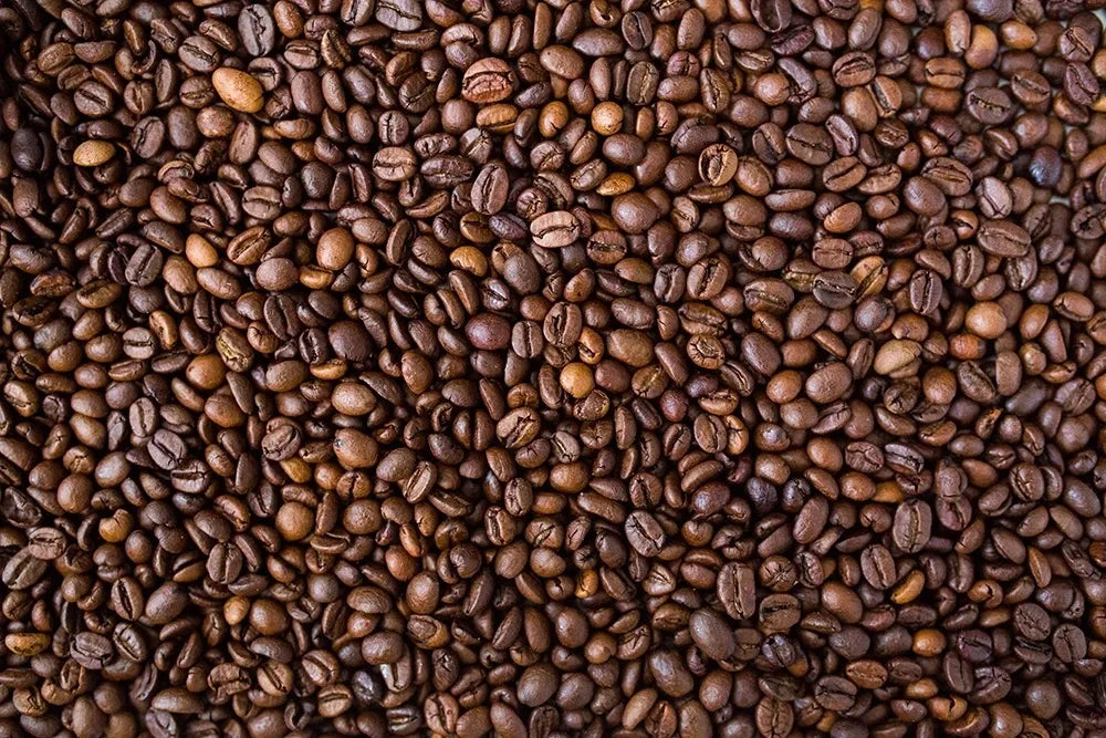 12 oz Colombia Nariño Coffee